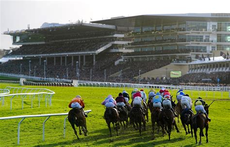 cheltenham race card 2023